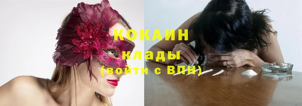 гидра Зеленодольск