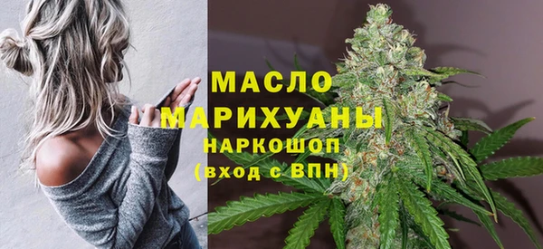 гидра Зеленодольск