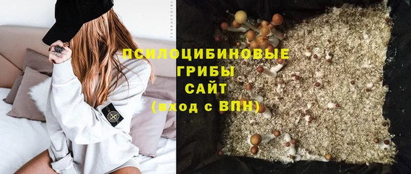 гидра Зеленодольск