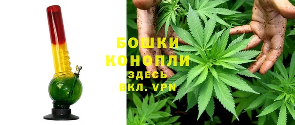 гидра Зеленодольск