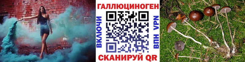 Псилоцибиновые грибы Psilocybe Солнечногорск